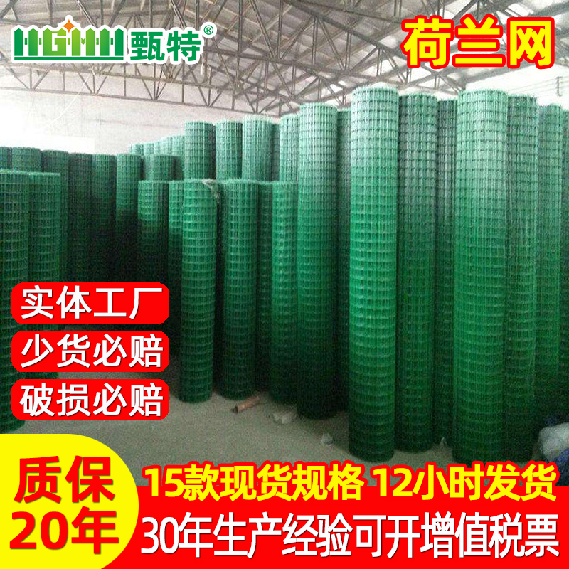 荷兰网