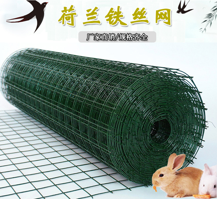 荷兰网 (1).jpg