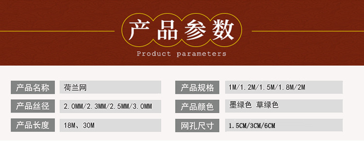 荷兰网 (2).jpg