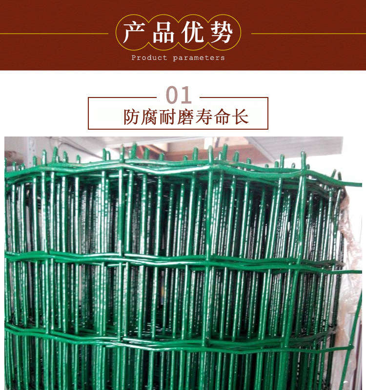 荷兰网 (4).jpg