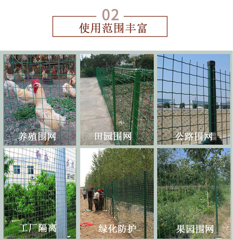 荷兰网 (5).jpg
