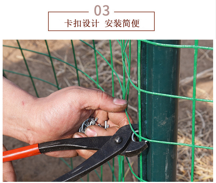 荷兰网 (6).jpg