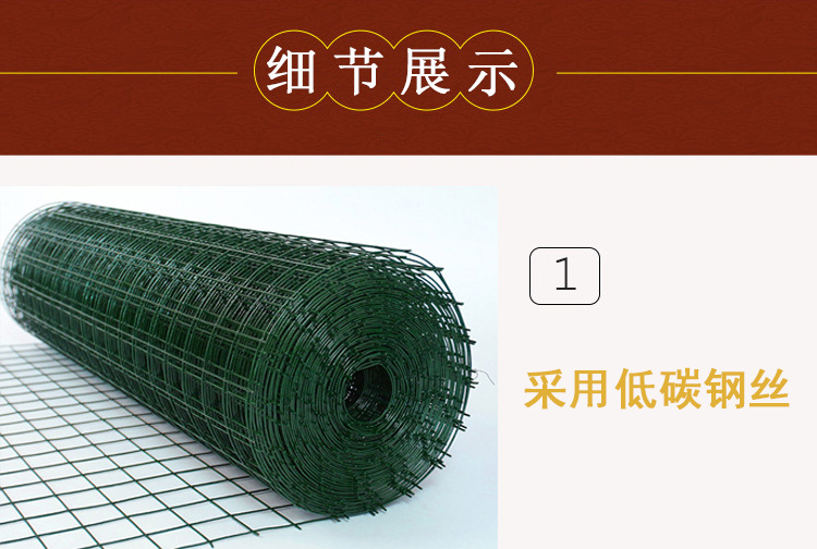 荷兰网 (7).jpg