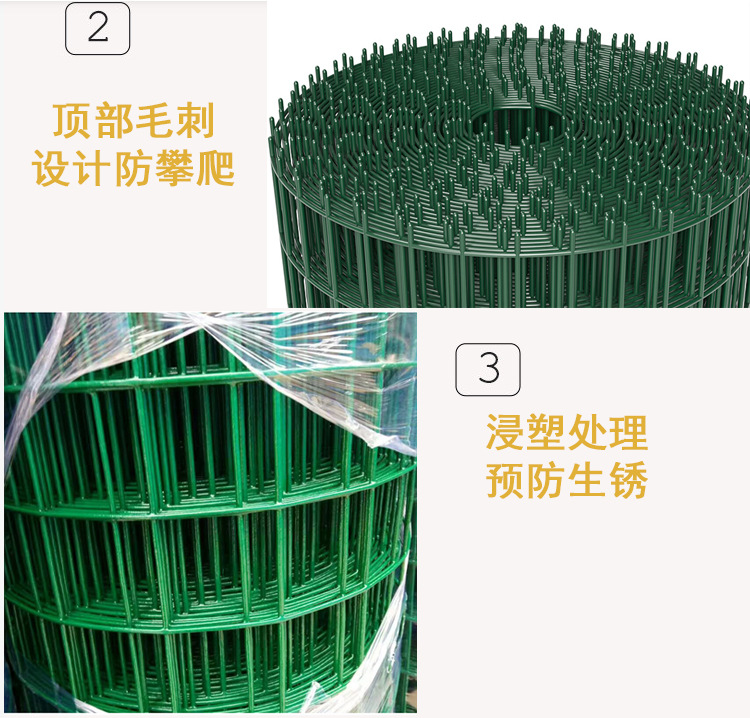 荷兰网 (8).jpg