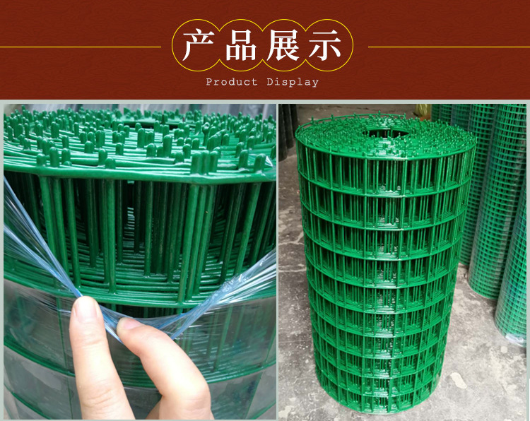 荷兰网 (9).jpg