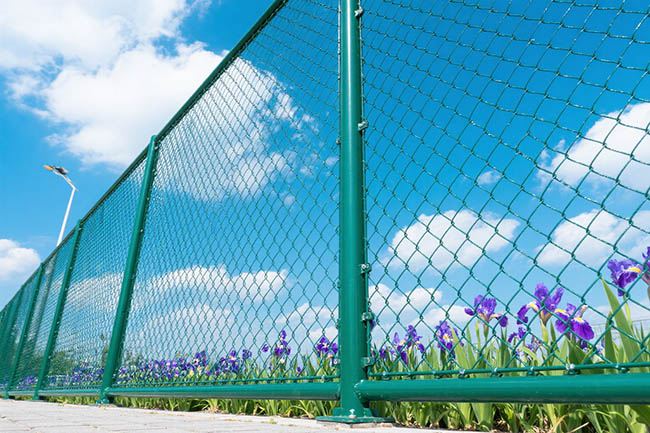 河北篮球场围网厂家怎么选？我的踩坑经历：正规厂家才是关键(图2)