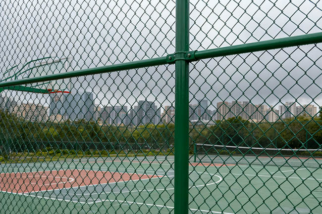 球场围网采购：避开三大误区，甄特护栏助你省心购(图2)