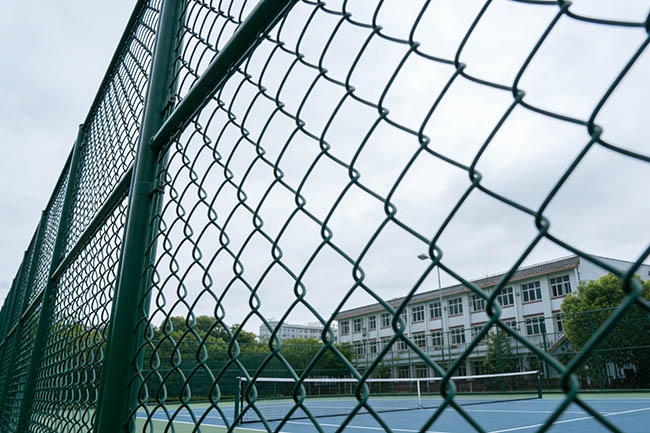 2025 球场围网预算指南：从 20 元到 50 元 /㎡，怎么选不超支？(图2)