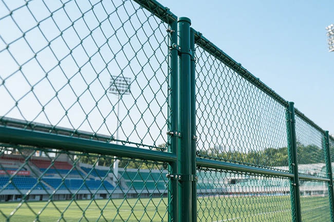 球场围网效果图