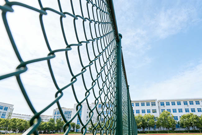 球场围网效果图